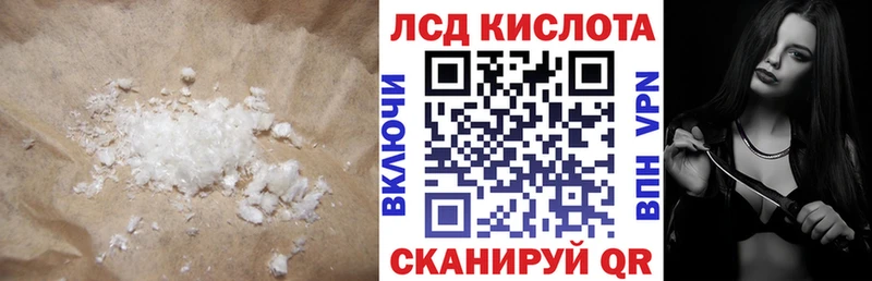 дарнет шоп  Новотитаровская  ЛСД экстази кислота 